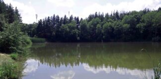 (UPDATE) Compania de Apă, explicații despre intenția captării apei din Lacul Meledic