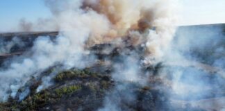 (VIDEO) Misiune de peste șase ore. Filmul unui incendiu care a mistuit zeci de hectare de vegetație uscată