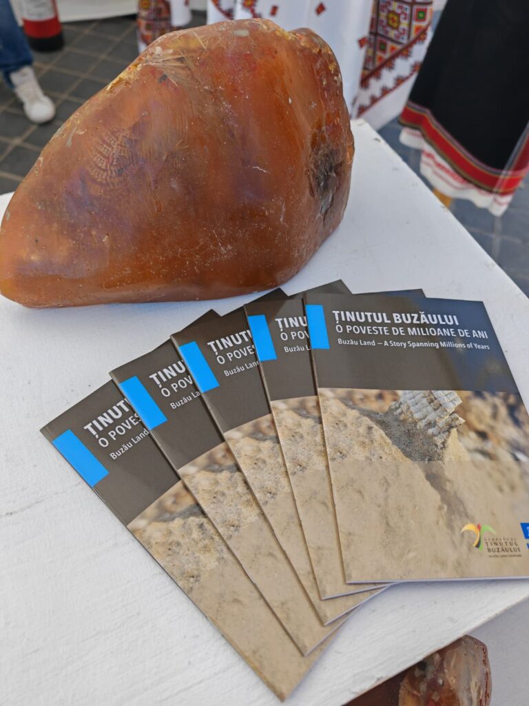 Buzău PARTICIPARE Festival PRISPA, Consiliul Județean Buzău Festival PRISPA