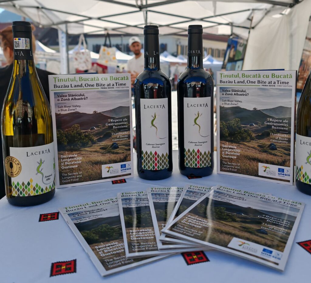 Buzău PARTICIPARE Festival PRISPA, Consiliul Județean Buzău Festival PRISPA