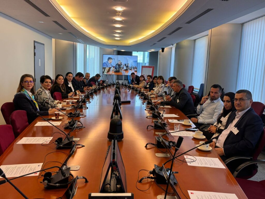 europarlamentar Andi Cristea dezbatere profesori buzoieni, profesori buzoieni Parlamentul European