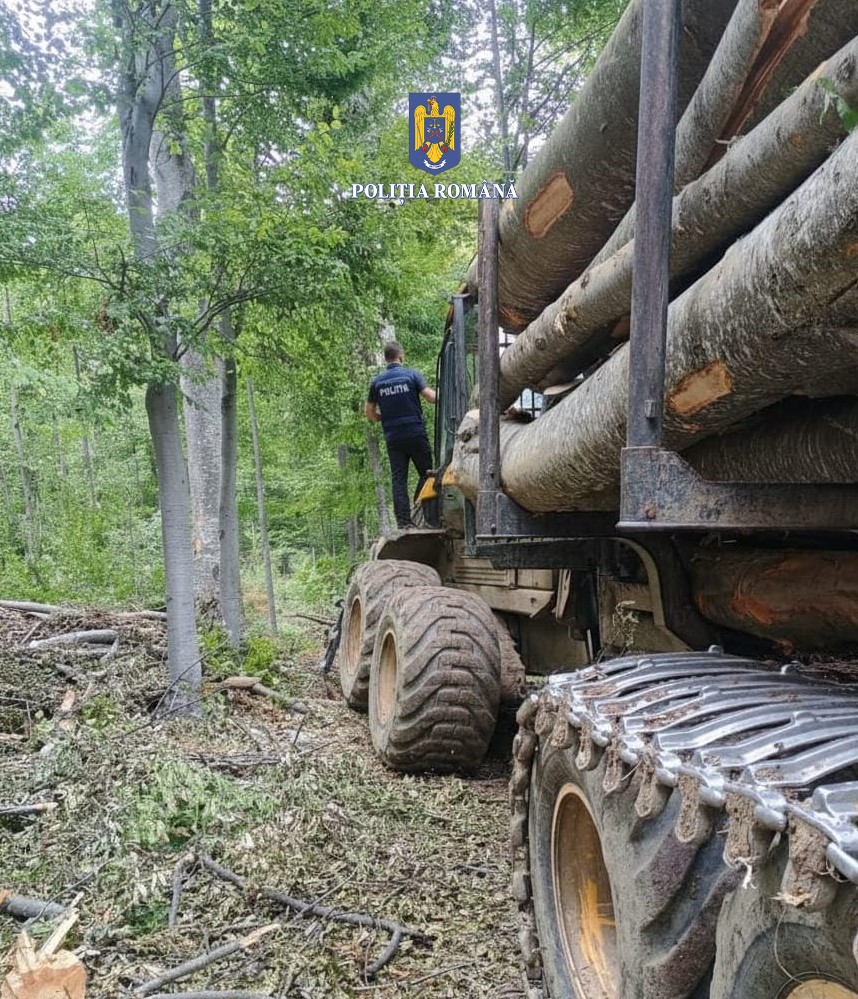 controale firme exploatare lemn Buzău