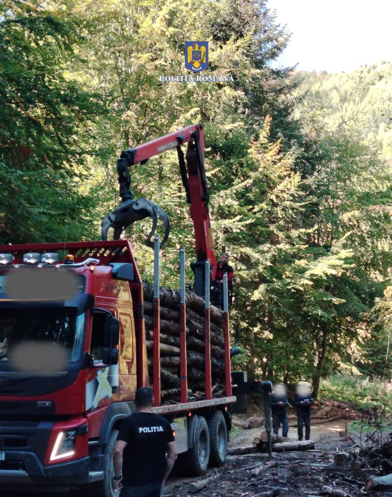 controale firme exploatare lemn Buzău
