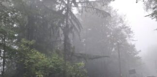 Avertizări de vânt puternic și ploi abundente, în județul Buzău