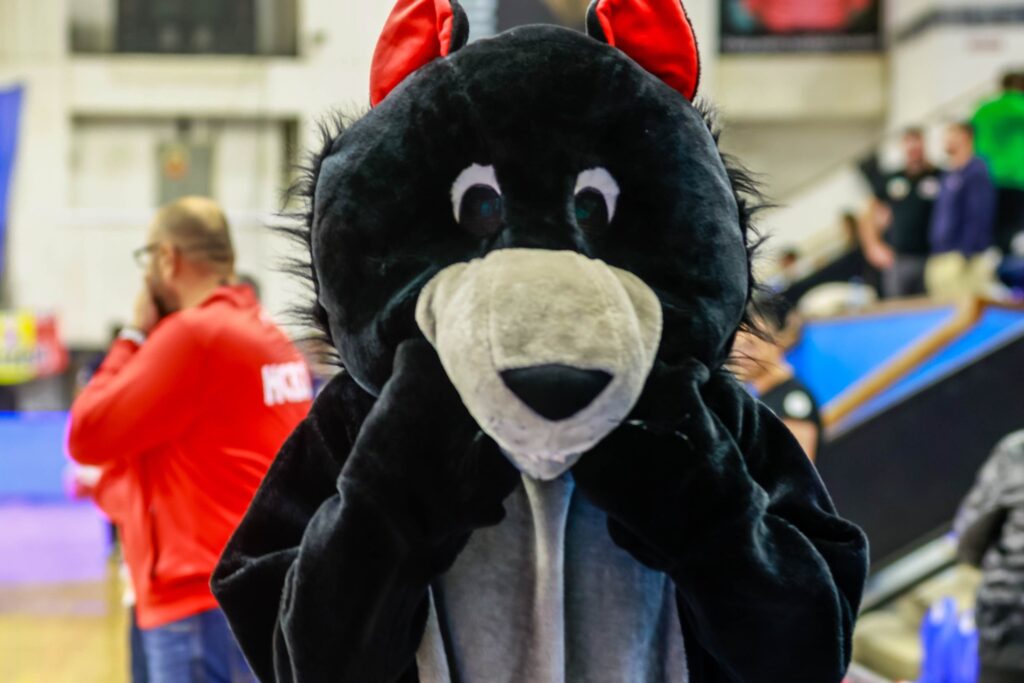 Lupii Buzăului Cupa EHF, Lupii Buzăului victorie campionat