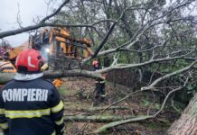 (FOTO) Noi misiuni ale pompierilor buzoieni. Unde au mai fost solicitați