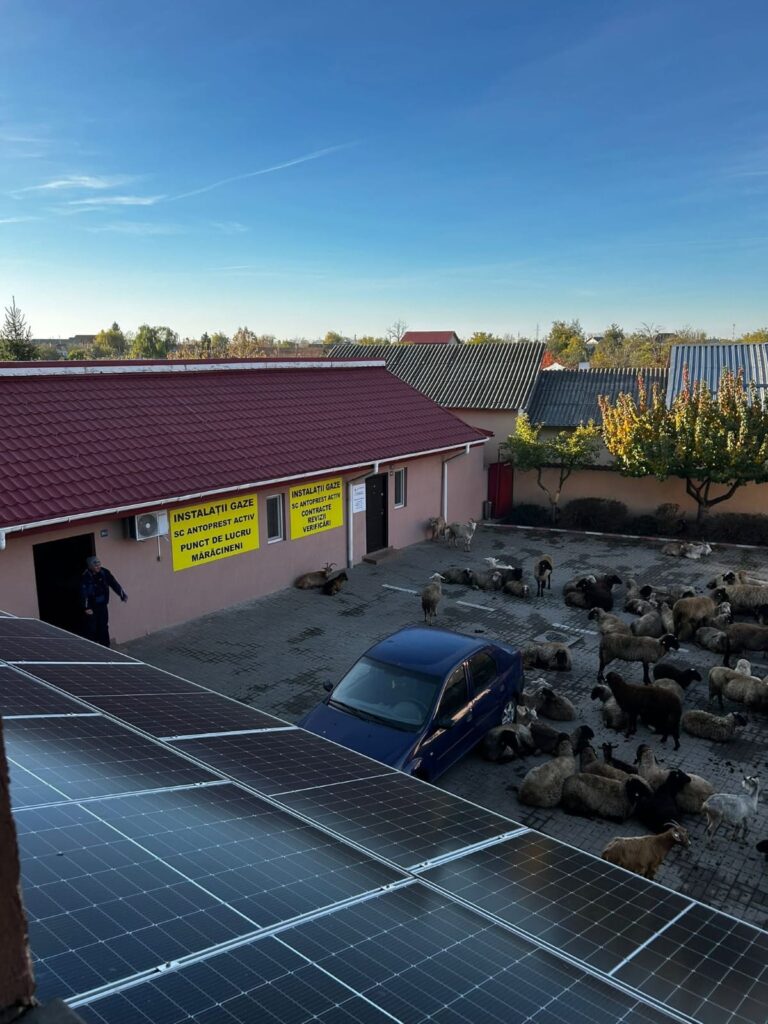 protest oi Primăria Mărăcineni, scandal oi Primăria Mărăcineni