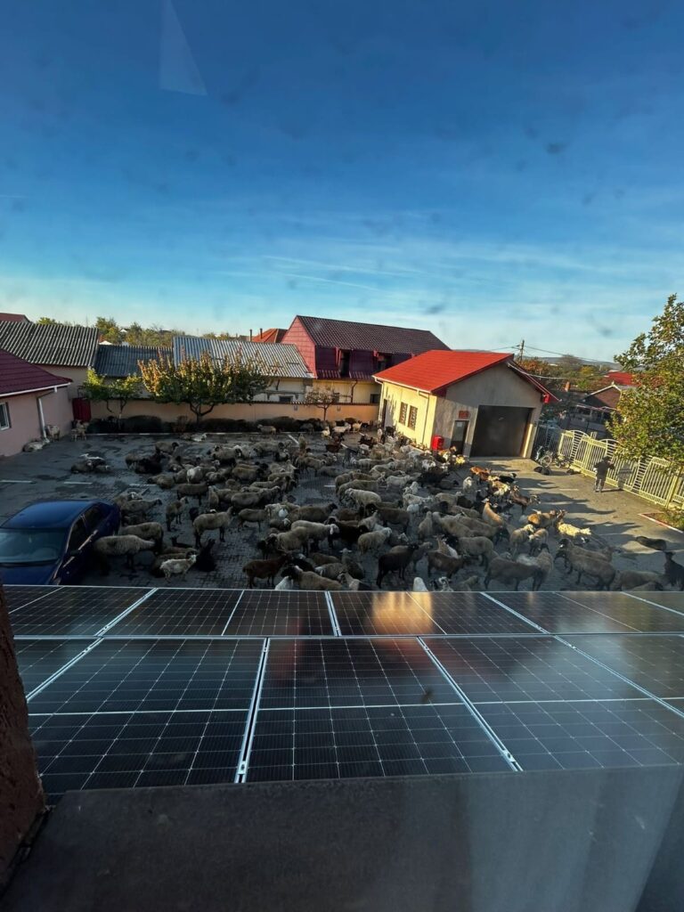 protest oi Primăria Mărăcineni, scandal oi Primăria Mărăcineni