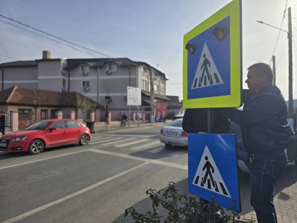 indicatoare rutiere cu iconițe Mărăcineni, panouri rutiere cu iconițe Mărăcineni