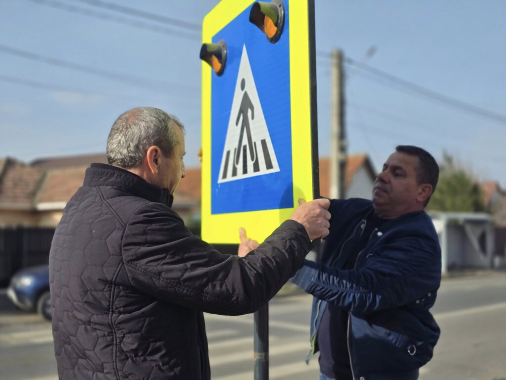 indicatoare rutiere cu iconițe Mărăcineni, panouri rutiere cu iconițe Mărăcineni