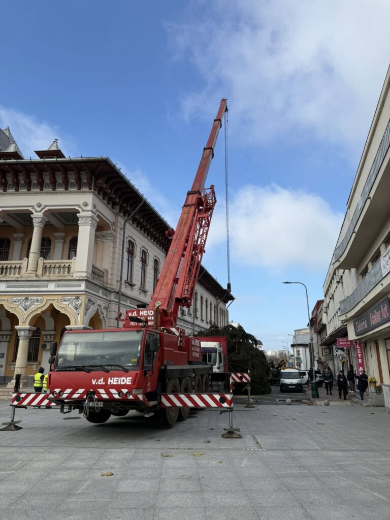 brad de Crăciun Piața Dacia 2025