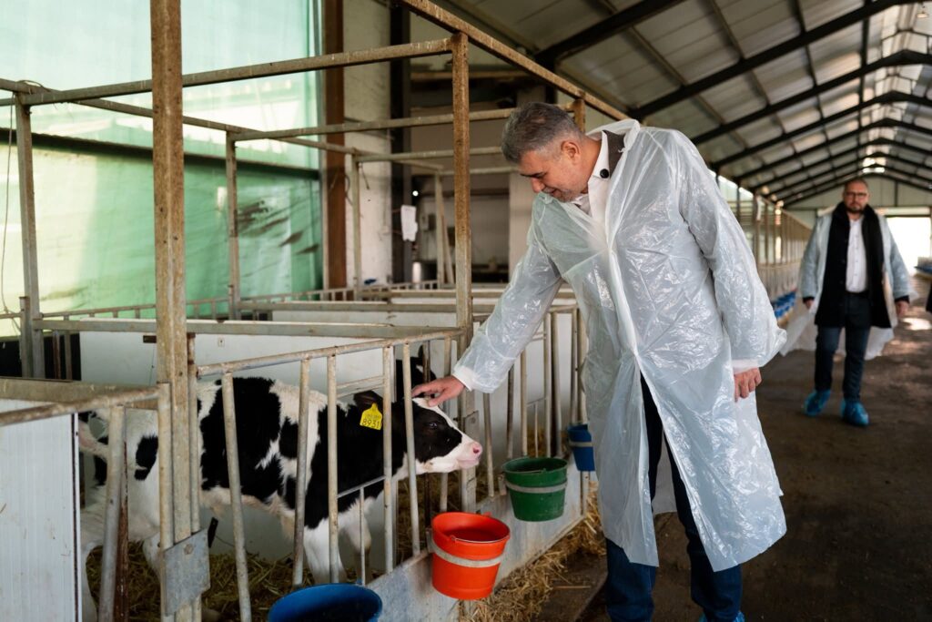 Marcel Ciolacu fost premier, Marcel Ciolacu vizite precampanie Buzău