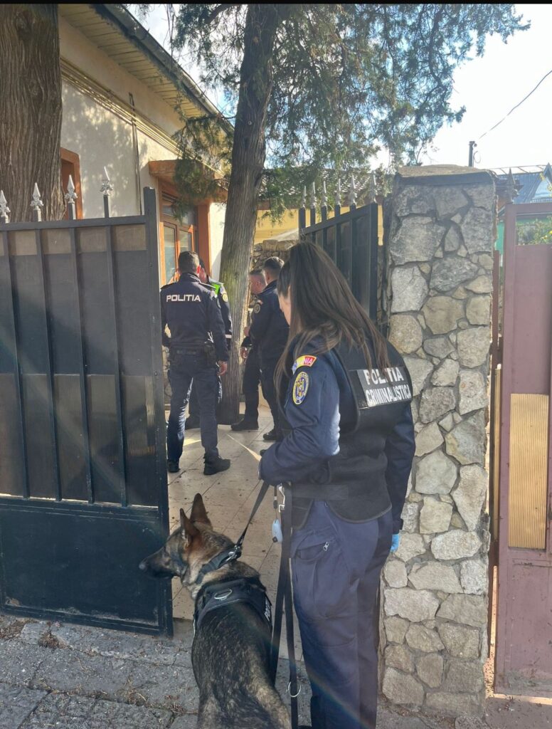 razie Poliție Buzău