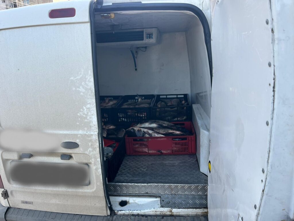 razie Pogoanele arme produse contrafăcute deșeuri periculoase