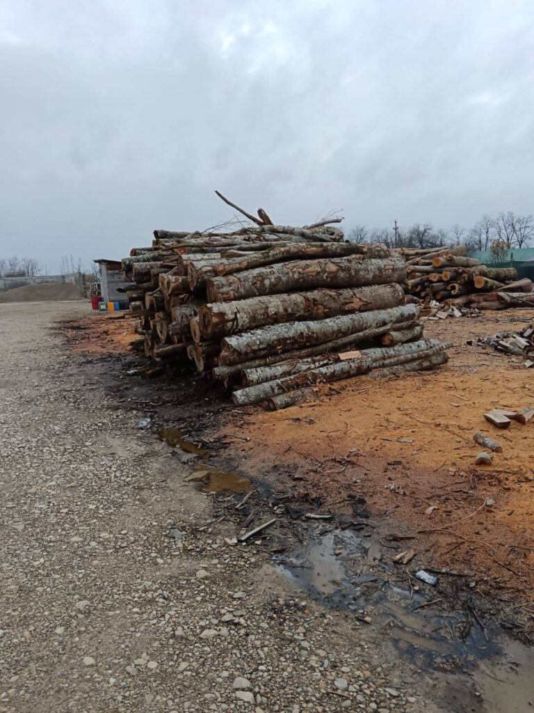 amenzi depozite de lemne Buzău, verificări depozite de lemne Garda de Mediu Buzău