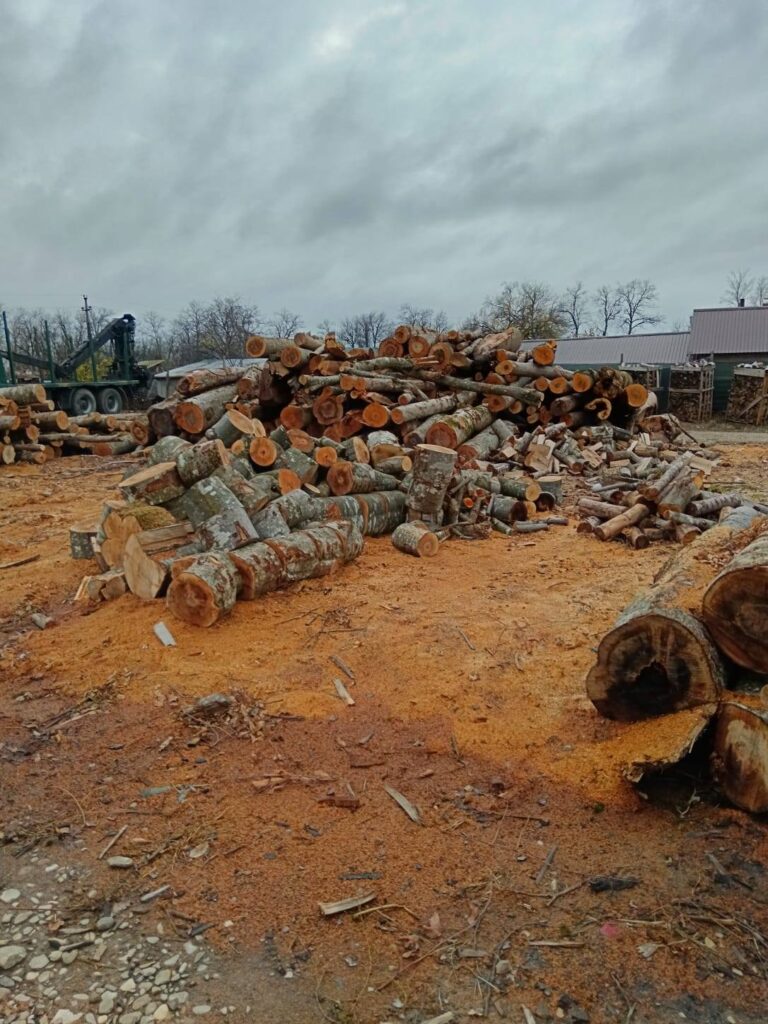 amenzi depozite de lemne Buzău, verificări depozite de lemne Garda de Mediu Buzău