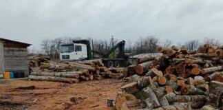(FOTO) Amenzi la mai multe depozite de lemne din județ. Ce sancțiuni au dat comisarii de mediu