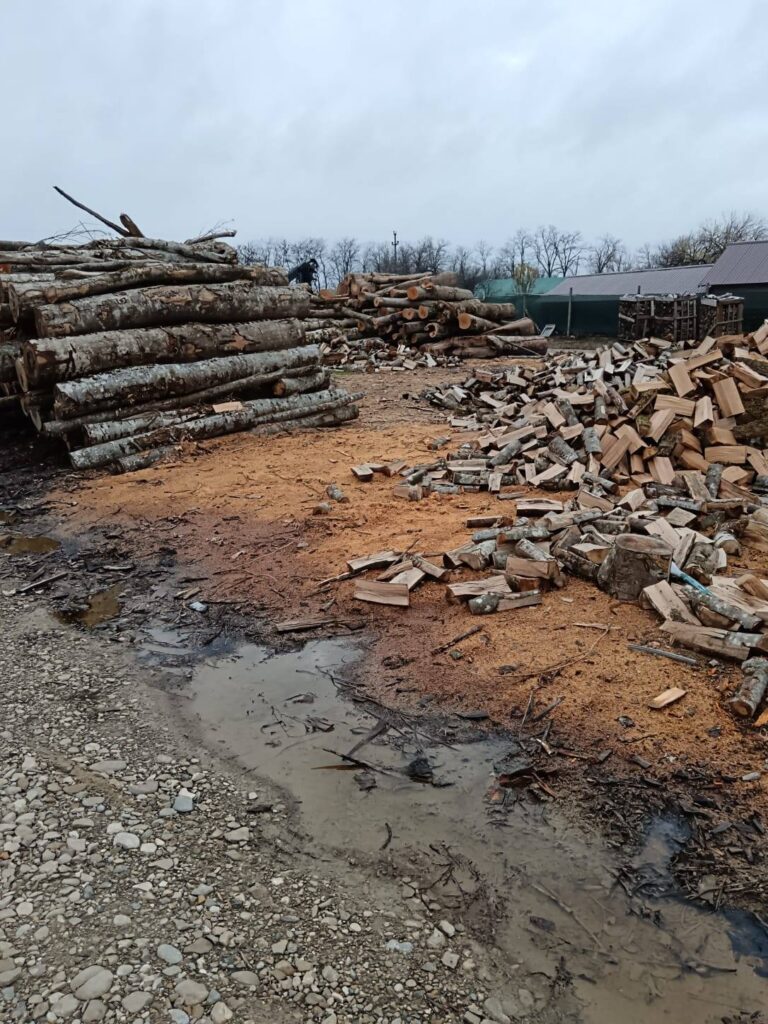 amenzi depozite de lemne Buzău, verificări depozite de lemne Garda de Mediu Buzău