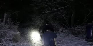 (VIDEO) Cioban vârstnic, rătăcit în pădure din cauza viscolului. Jandarmii montani au intervenit