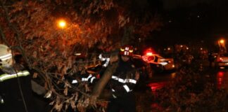 Drum sătesc blocat de copaci doborâți de vânt. Localnicii, rămași fără curent electric