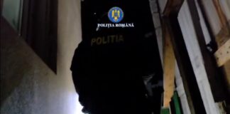 (UPDATE/VIDEO) Percheziții de amploare, patru reținuți. Cu ce sumă au păcălit o firmă din Tulcea
