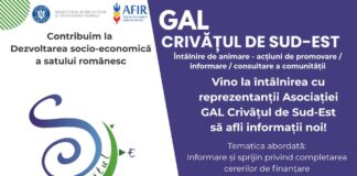 Sesiune pentru tineri, la Primăria Balta Albă. GAL Crivățul de Sud-Est, în căutarea de proiecte pentru comunitate