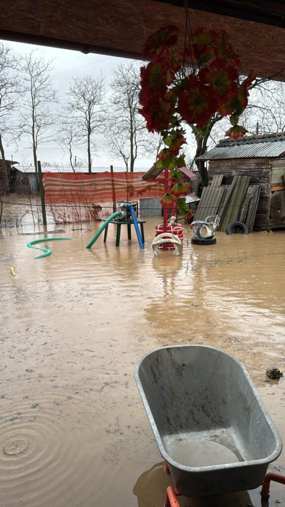 cod roșu avertizare hidro cod roșu râul NIșcov, drumuri afectate ploi abundente, gospodării inundate