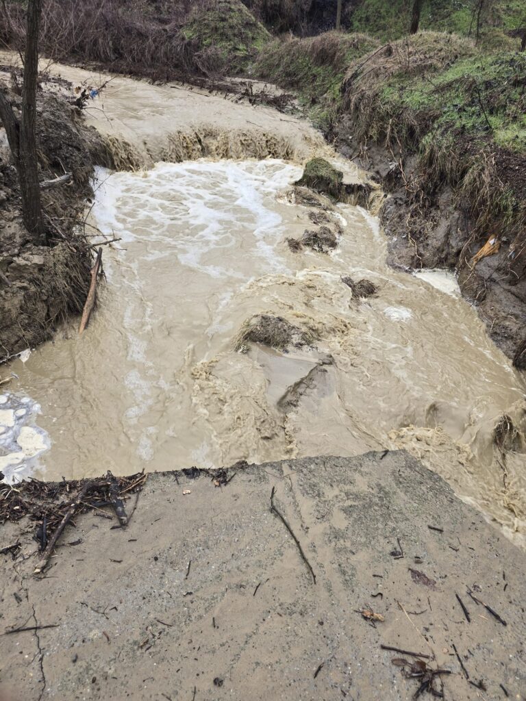 cod roșu avertizare hidro cod roșu râul NIșcov, drumuri afectate ploi abundente, gospodării inundate