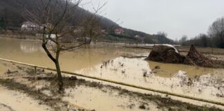 (UPDATE/VIDEO) Probleme în județ, după ploile abundente. Alertă meteo de cod portocaliu pe râul Nișcov