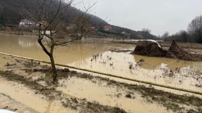 WhatsApp Image 2026-02-16 at 08.27.24 (3)