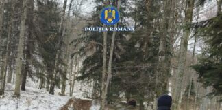 (FOTO) Doi tineri din Brăești, prinși la furat în pădure