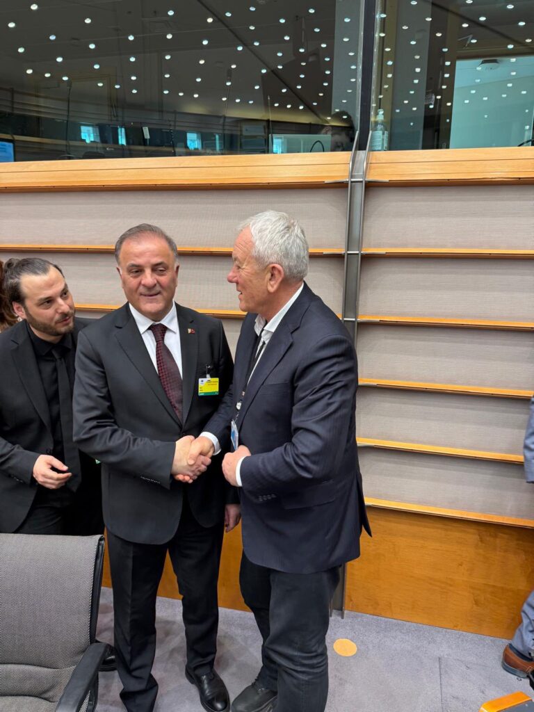 primar Constantin Toma plenară Comitetul European al Regiunilor