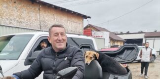 (FOTO) VERNEȘTI. Peste 600 de câini, sterilizați. Primarul, implicat în campania gratuită