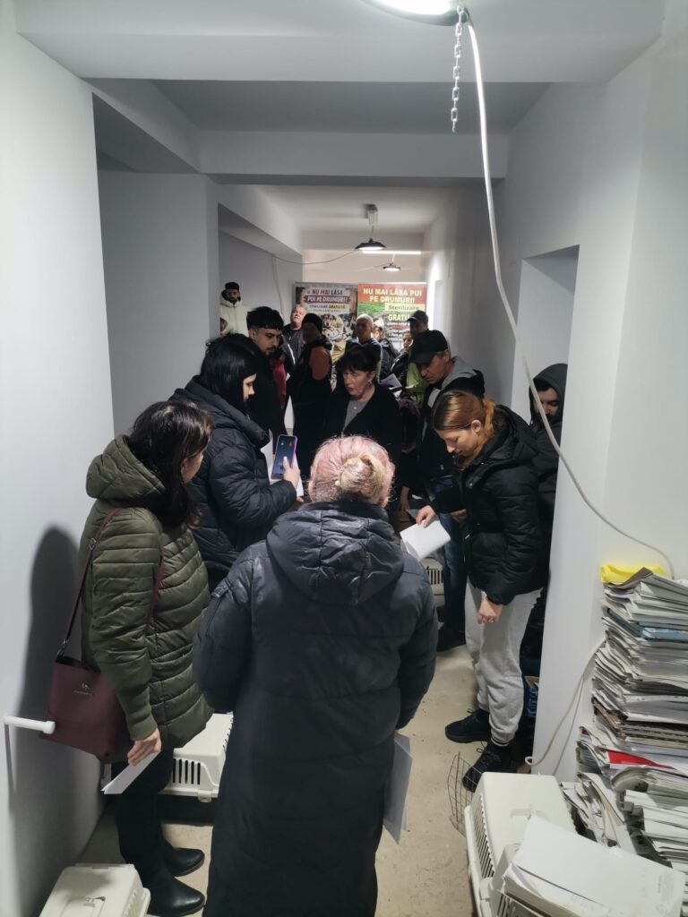 campanie sterilizare gratuită câini Vernești, primar Vernești Daniel Năstase sterilizare câini