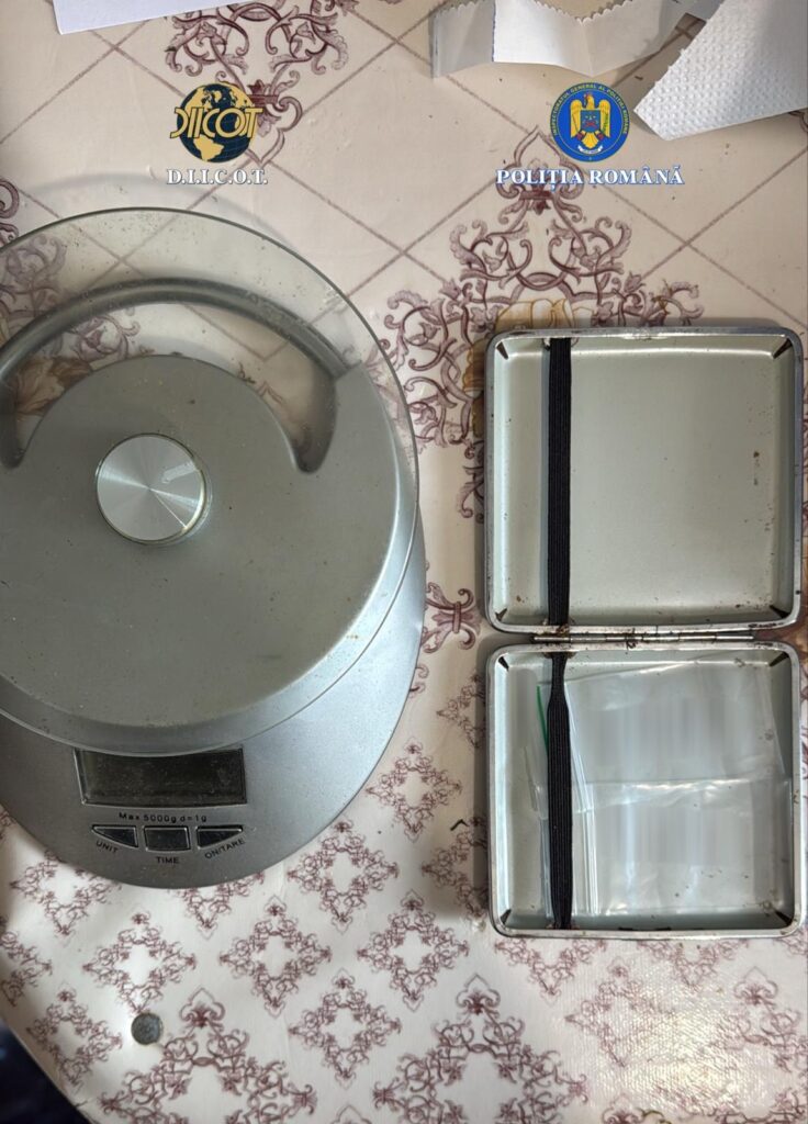 plantație canabis Scorțoasa, trafic de droguri Buzău Scorțoasa