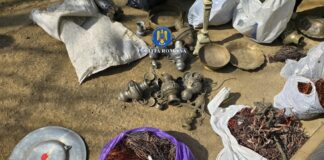 (VIDEO) Patron reținut. Descinderi la un centru de dezmembrări auto ilegal