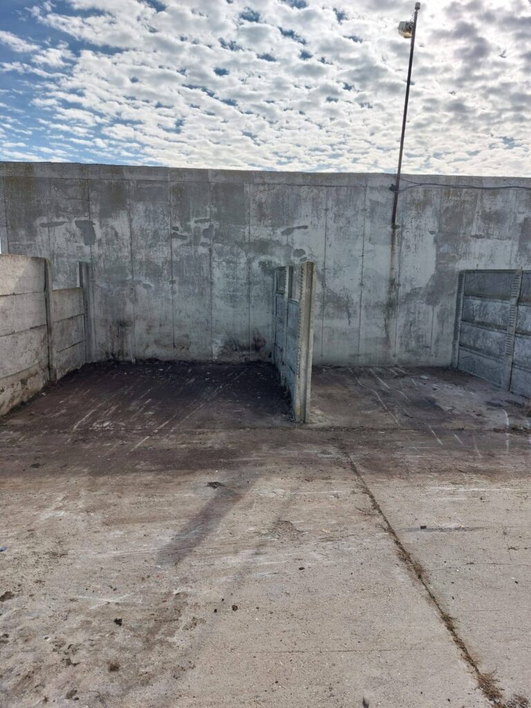 final campanie colectare deșeuri Balta Albă