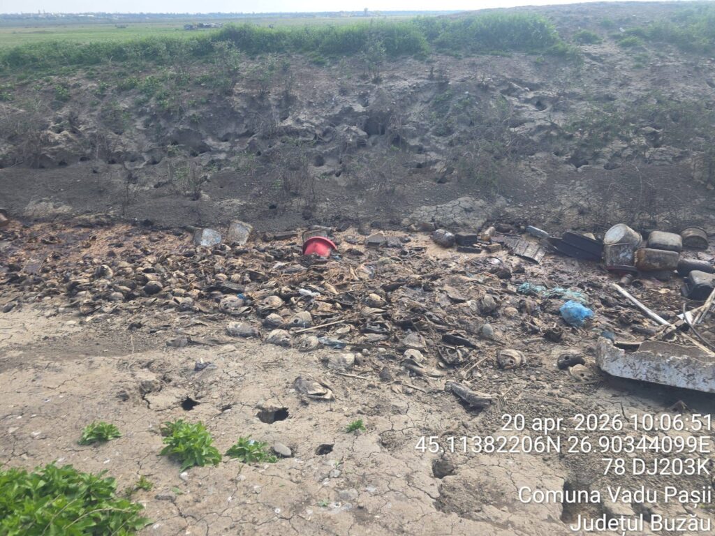 focar de infecție Vadu Pașii pește putrezit canal