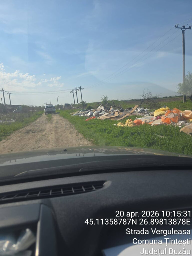 focar de infecție Vadu Pașii pește putrezit canal