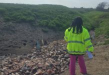 (FOTO) Descoperire șoc. Focar de infecție la Vadu Pașii. Tone de pește putrezit, descoperite de comisarii de mediu