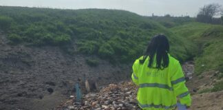 (FOTO) Descoperire șoc. Focar de infecție la Vadu Pașii. Tone de pește putrezit, descoperite de comisarii de mediu