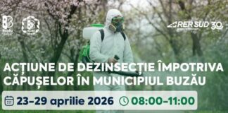 Programul de dezinsecție împotriva căpușelor. Anunțul Primăriei Buzău