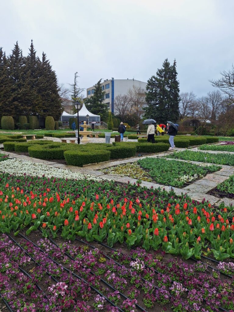 comunicat de presă Erasmus+ Liceul Teoretic Radu Vlădescu Pătrârlagele