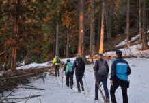 (VIDEO) Patru turiști, rătăciți în munți. Cum s-a încheiat misiunea jandarmilor montani