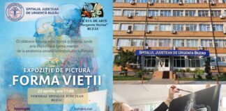 (Galerie FOTO) Picturi inedite, pregătite pentru Spitalul Județean. Când va fi expoziția „Forma vieții”