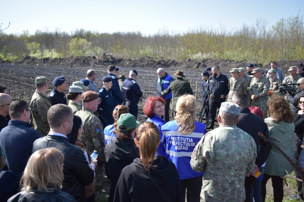 împădurire Frasinu Buzău, plantare frasini Buzău