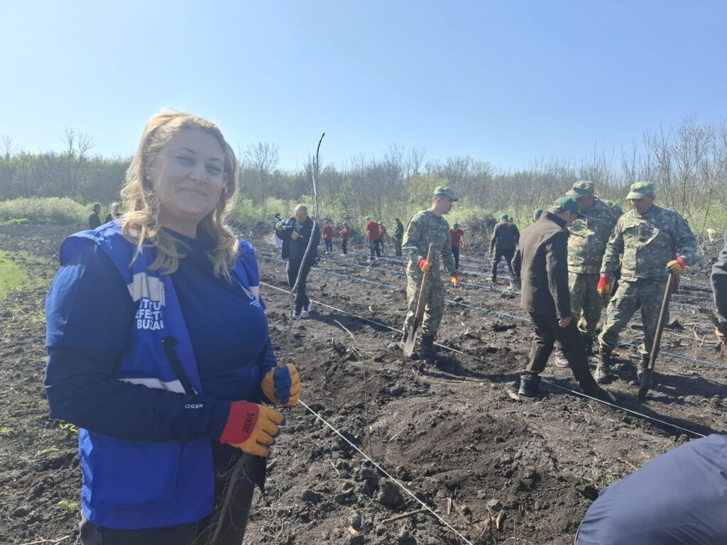 împădurire Frasinu Buzău, plantare frasini Buzău