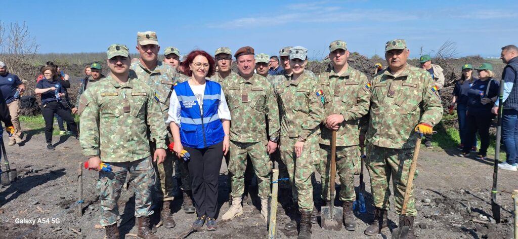 împădurire Frasinu Buzău, plantare frasini Buzău