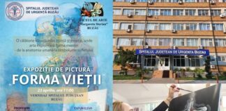 (FOTO) Lucrări inedite expuse la Spitalul Județean. Vernisajul, joi, 23 aprilie