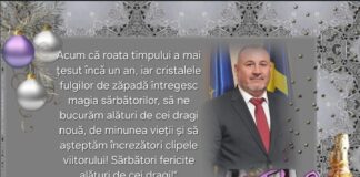 BALTA ALBĂ. Mesajul transmis de primar cu ocazia ANULUI NOU